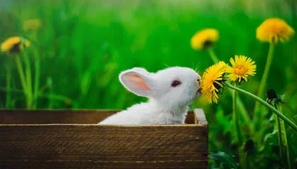 S15下注网站-武磊感慨西班牙足球根基深 回忆国王杯比赛的不易